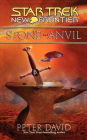 Star Trek New Frontier #14: Stone and Anvil