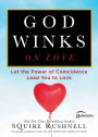 God Winks on Love: Let the Power of Coincidence Lead You to Love