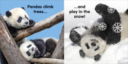 Alternative view 2 of Baby Touch and Feel Panda