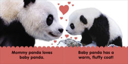 Alternative view 3 of Baby Touch and Feel Panda