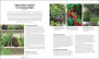 Alternative view 4 of How to Garden, New Edition: A practical introduction to gardening