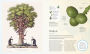 Alternative view 12 of The Tree Book: The Stories, Science, and History of Trees