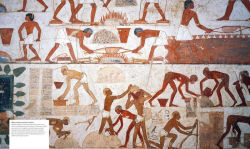 Alternative view 2 of Ancient Egypt: The Definitive Visual History