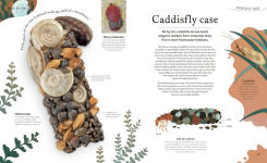 Alternative view 10 of Nature's Treasures: Tales Of More Than 100 Extraordinary Objects From Nature