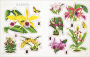Alternative view 3 of The Botanist's Sticker Anthology: With More Than 1,000 Vintage Stickers