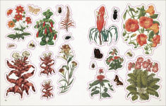 Alternative view 4 of The Botanist's Sticker Anthology: With More Than 1,000 Vintage Stickers