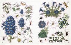 Alternative view 5 of The Botanist's Sticker Anthology: With More Than 1,000 Vintage Stickers