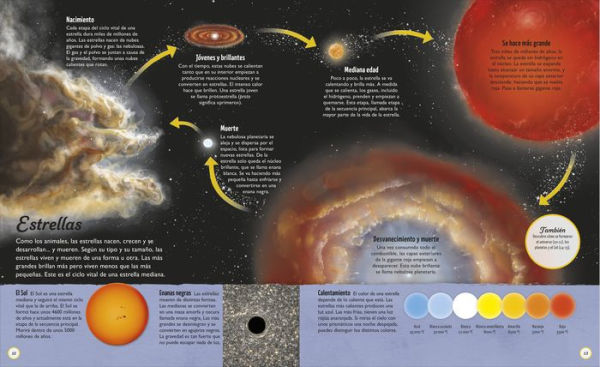 Los ciclos de la vida (Life Cycles): Todo, desde el principio hasta el final