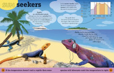 Alternative view 2 of Everything You Need to Know About Frogs and Other Slippery Creatures