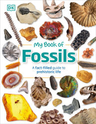 Title: My Book of Fossils: A fact-filled guide to prehistoric life, Author: DK