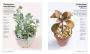 Alternative view 8 of Succulents: Everything You Need to Select, Pair and Care for Succulents