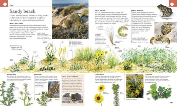 Nature Handbook: Explore the Wonders of the Natural World