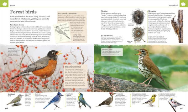 Nature Handbook: Explore the Wonders of the Natural World