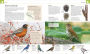 Alternative view 5 of Nature Handbook: Explore the Wonders of the Natural World