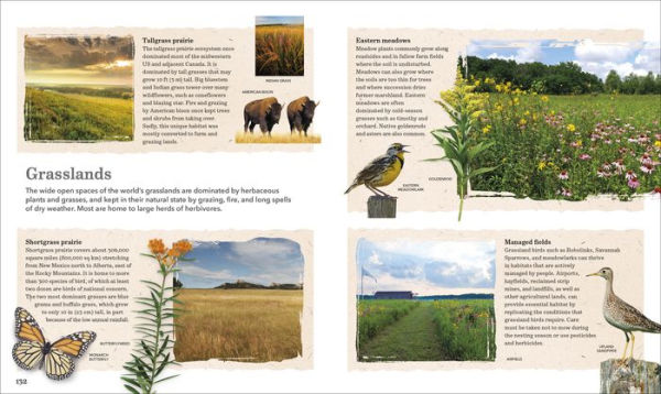 Nature Handbook: Explore the Wonders of the Natural World