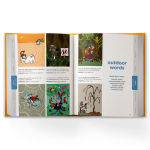 Alternative view 12 of Mrs Wordsmith Storyteller's Illustrated Dictionary 3rd-5th Grades: + 3 Months of Word Tag Video Game