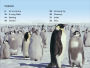 Alternative view 2 of DK Super Readers Level 3 Emperor Penguins