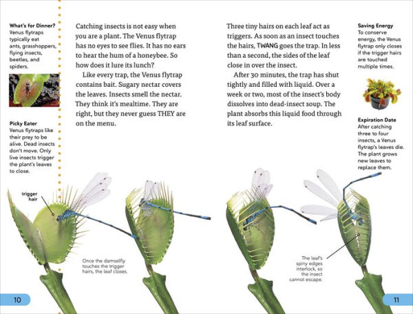 DK Super Readers Level 4 Plants Bite Back