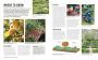 Alternative view 2 of Grow Fruit: Essential Know-how and Expert Advice for Gardening Success
