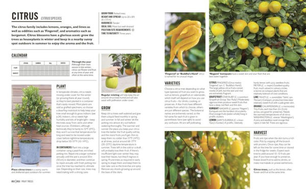 Grow Fruit: Essential Know-how and Expert Advice for Gardening Success