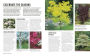 Alternative view 3 of Grow Trees: Essential Know-how and Expert Advice for Gardening Success