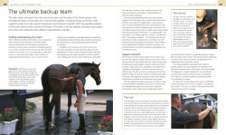 Alternative view 13 of Complete Horse Riding Manual