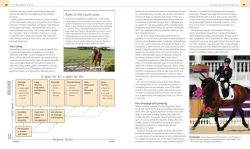 Alternative view 4 of Complete Horse Riding Manual