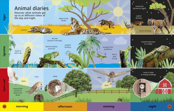 1000 Animal Words: Build Animal Vocabulary and Literacy Skills