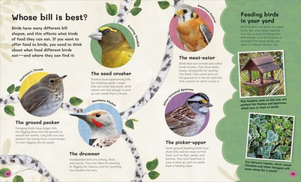 The Children's Book of Birdwatching: Nature-Friendly Tips for Spotting Birds