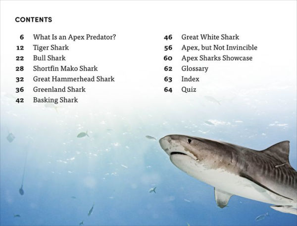 DK Super Readers Level 4 Shark: Apex Predator