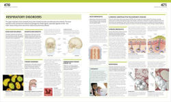 Alternative view 11 of The Complete Human Body: The Definitive Visual Guide