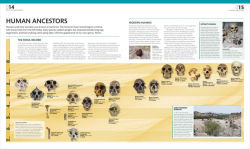 Alternative view 2 of The Complete Human Body: The Definitive Visual Guide
