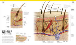 Alternative view 3 of The Complete Human Body: The Definitive Visual Guide