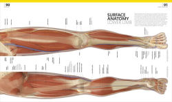 Alternative view 5 of The Complete Human Body: The Definitive Visual Guide