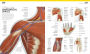 Alternative view 6 of The Complete Human Body: The Definitive Visual Guide