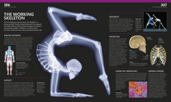 Alternative view 7 of The Complete Human Body: The Definitive Visual Guide