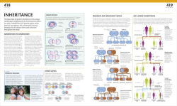 Alternative view 10 of The Complete Human Body: The Definitive Visual Guide
