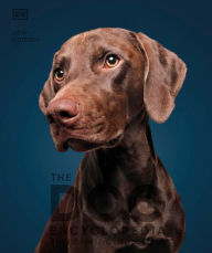 Title: The Dog Encyclopedia, Author: DK