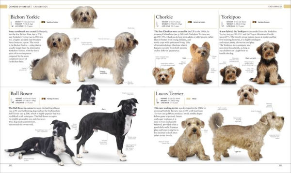 The Dog Encyclopedia