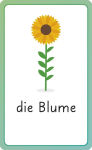 Alternative view 4 of German for Everyone Junior First Words Flash Cards