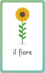 Alternative view 4 of Italian for Everyone Junior First Words Flash Cards