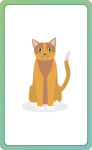 Alternative view 3 of Spanish for Everyone Junior First Words Flash Cards