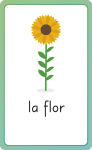 Alternative view 4 of Spanish for Everyone Junior First Words Flash Cards