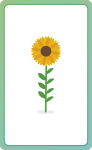 Alternative view 5 of Spanish for Everyone Junior First Words Flash Cards