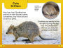 Alternative view 4 of DK Super Readers Level 2 Quokkas