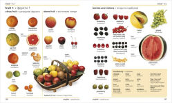 Alternative view 4 of Ukrainian English Bilingual Visual Dictionary