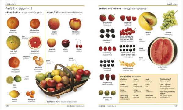 Ukrainian English Bilingual Visual Dictionary