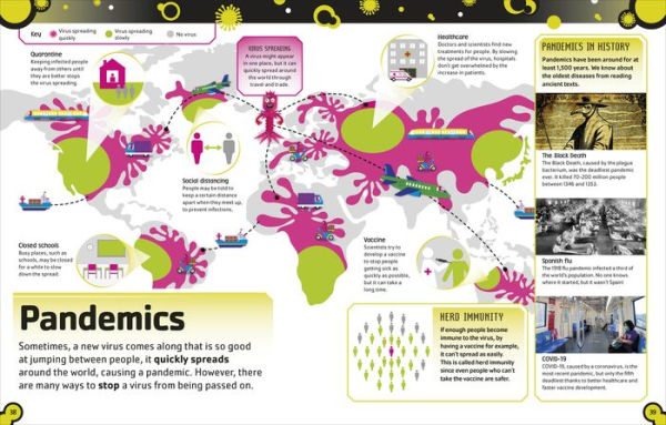 The Bacteria Book: Gross Germs, Vile Viruses and Funky Fungi