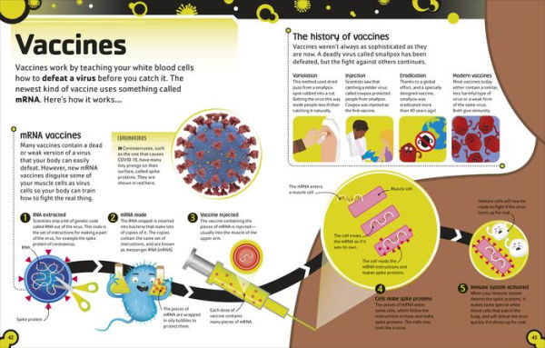 The Bacteria Book: Gross Germs, Vile Viruses and Funky Fungi