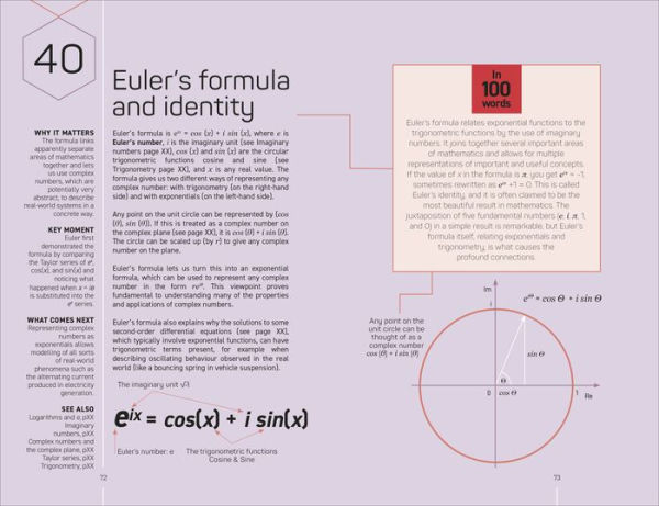 Math 100 Ideas in 100 Words: A Whistle-stop Tour of Scienceâ?Ts Key Concepts